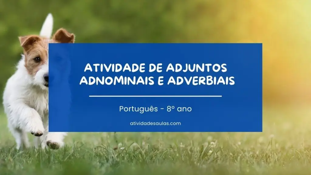 Atividade De Adjuntos Adnominais E Adverbiais Portugues 8o Ano