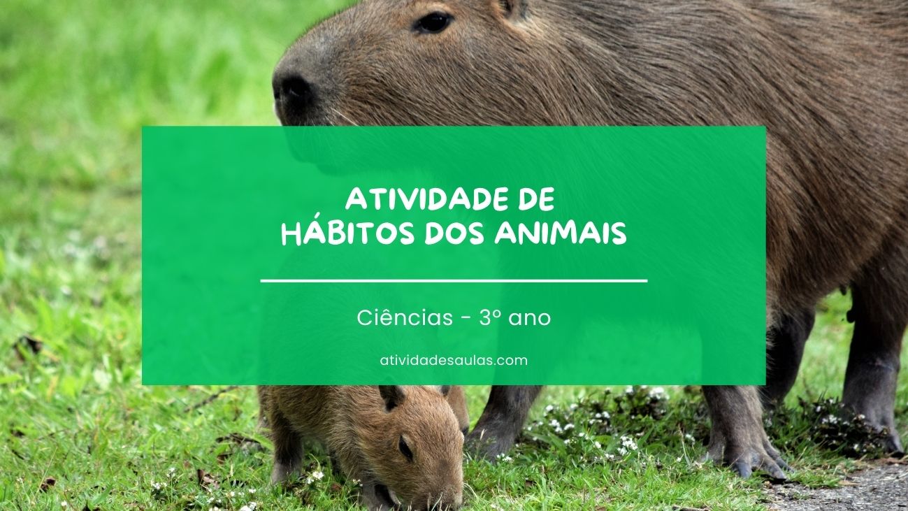 Atividade De Habitos Dos Animais 3o Ano