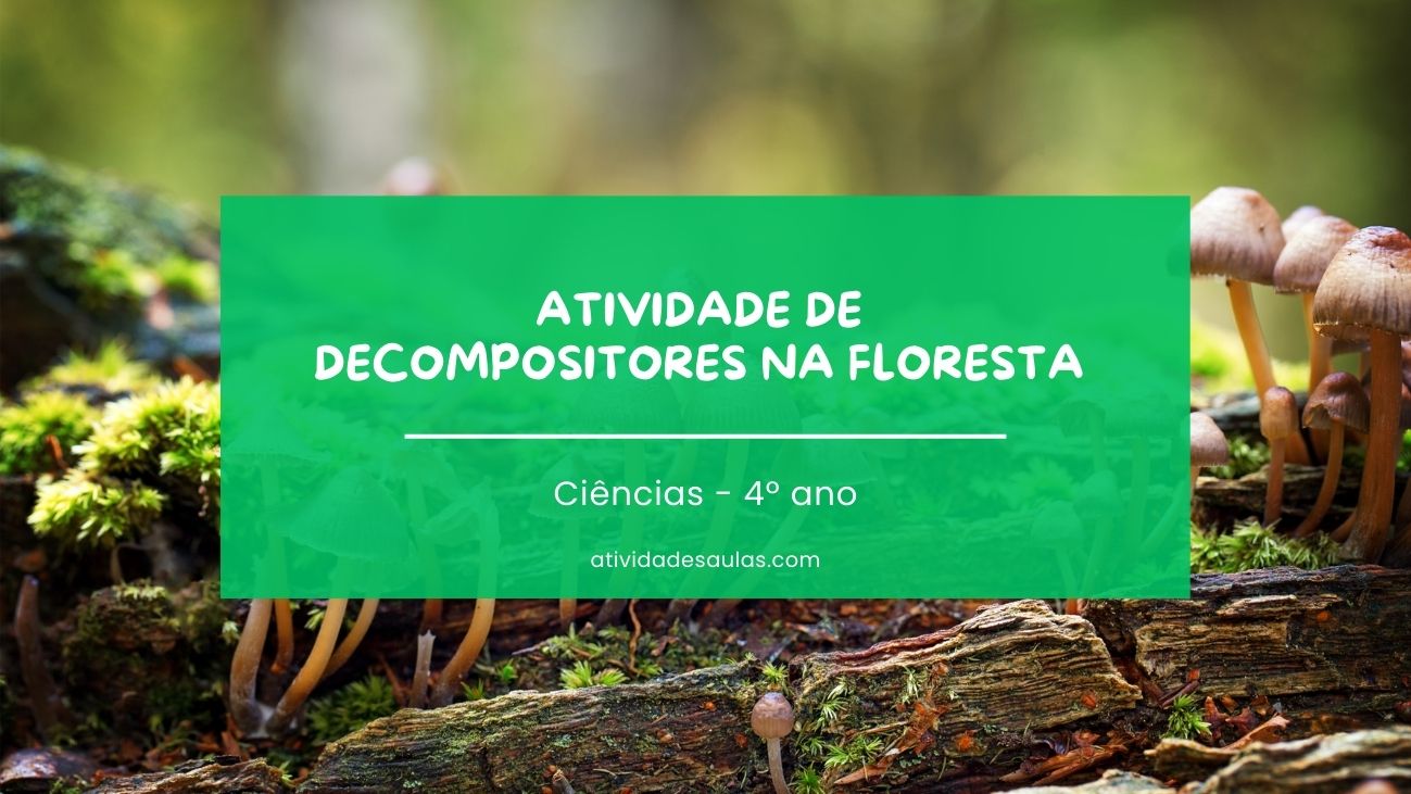 Atividade de decompositores na floresta