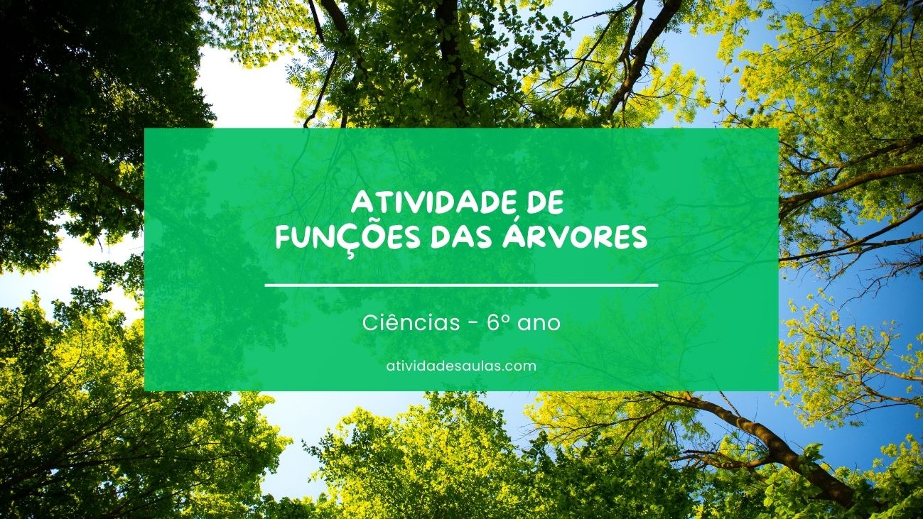 Atividade de funções das árvores – Dia da Árvore 2109 – 6º ano