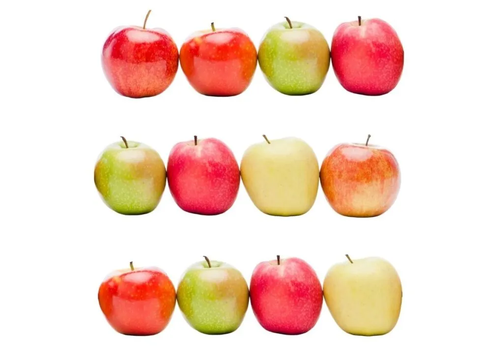 atividade de multiplicação