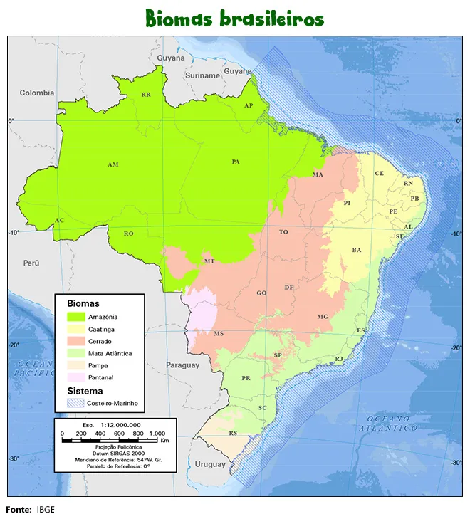 Mapa Biomas Brasil