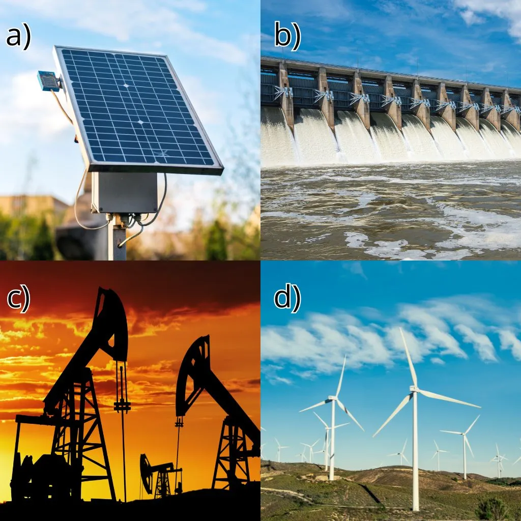 Revisao De Ciencias 6