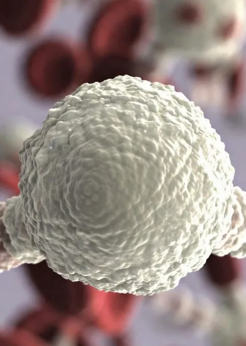 Captura De Tela 2026 02 24 175021