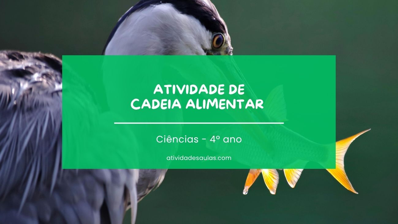 Atividade De Cadeia Alimentar 4o Ano Com Gabarito PDF EF04CI04