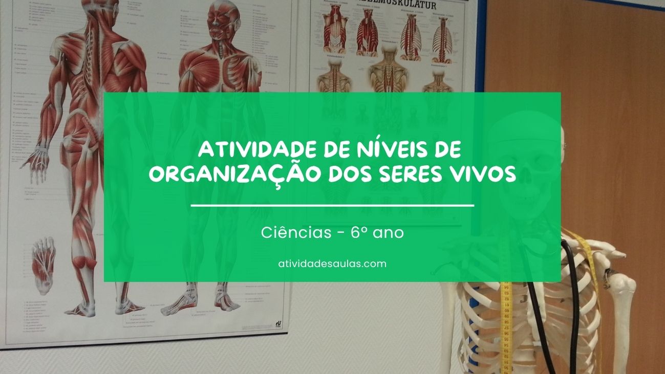 Atividade De Niveis De Organizacao Dos Seres Vivos 6o Ano Com Gabarito PDF EF06CI06